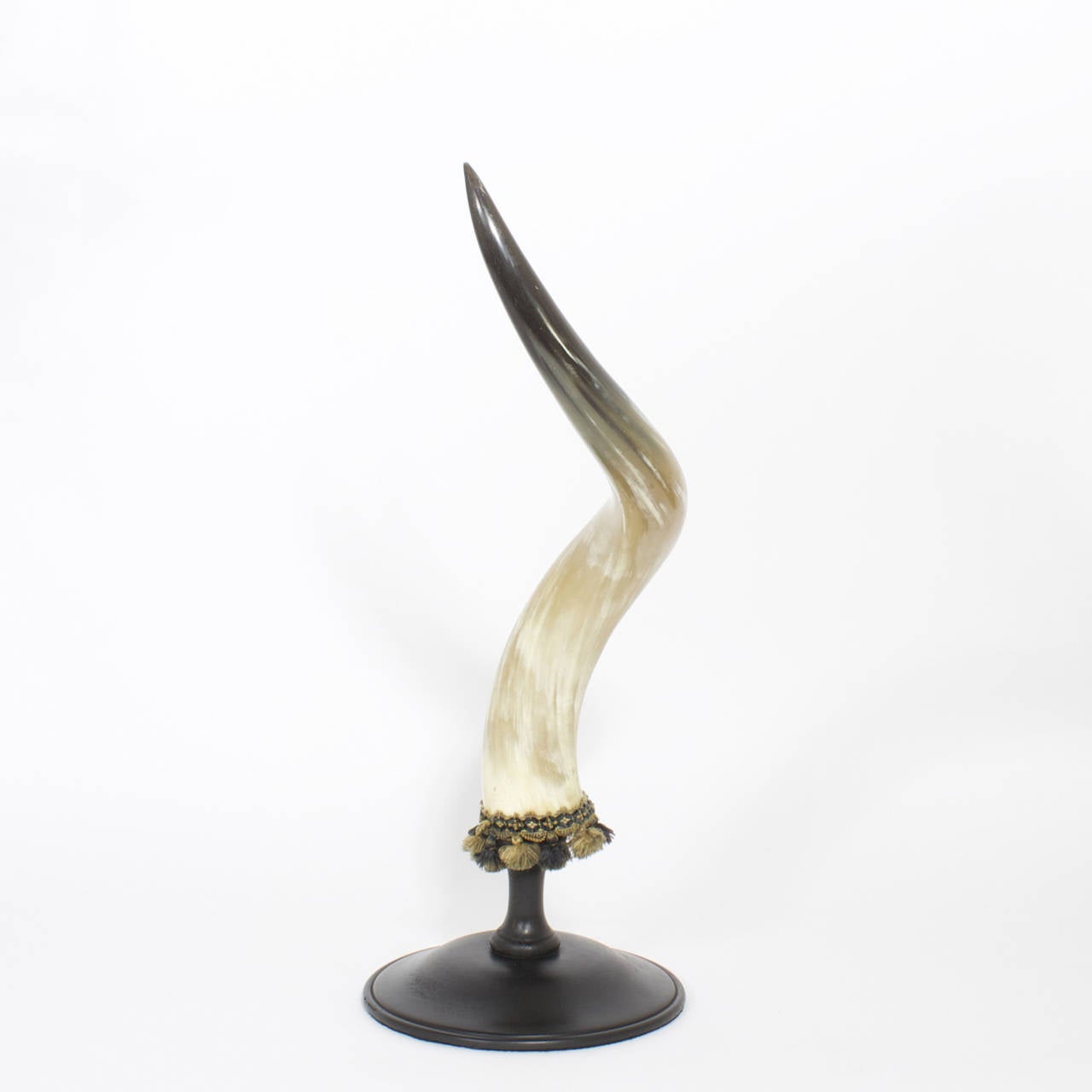 Organic Modern Mid-Century Pair of Large and Dramatic Polished Horns on Mounts For Sale