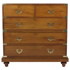 19th Century Camphor Wood Campaign Chest of Drawers