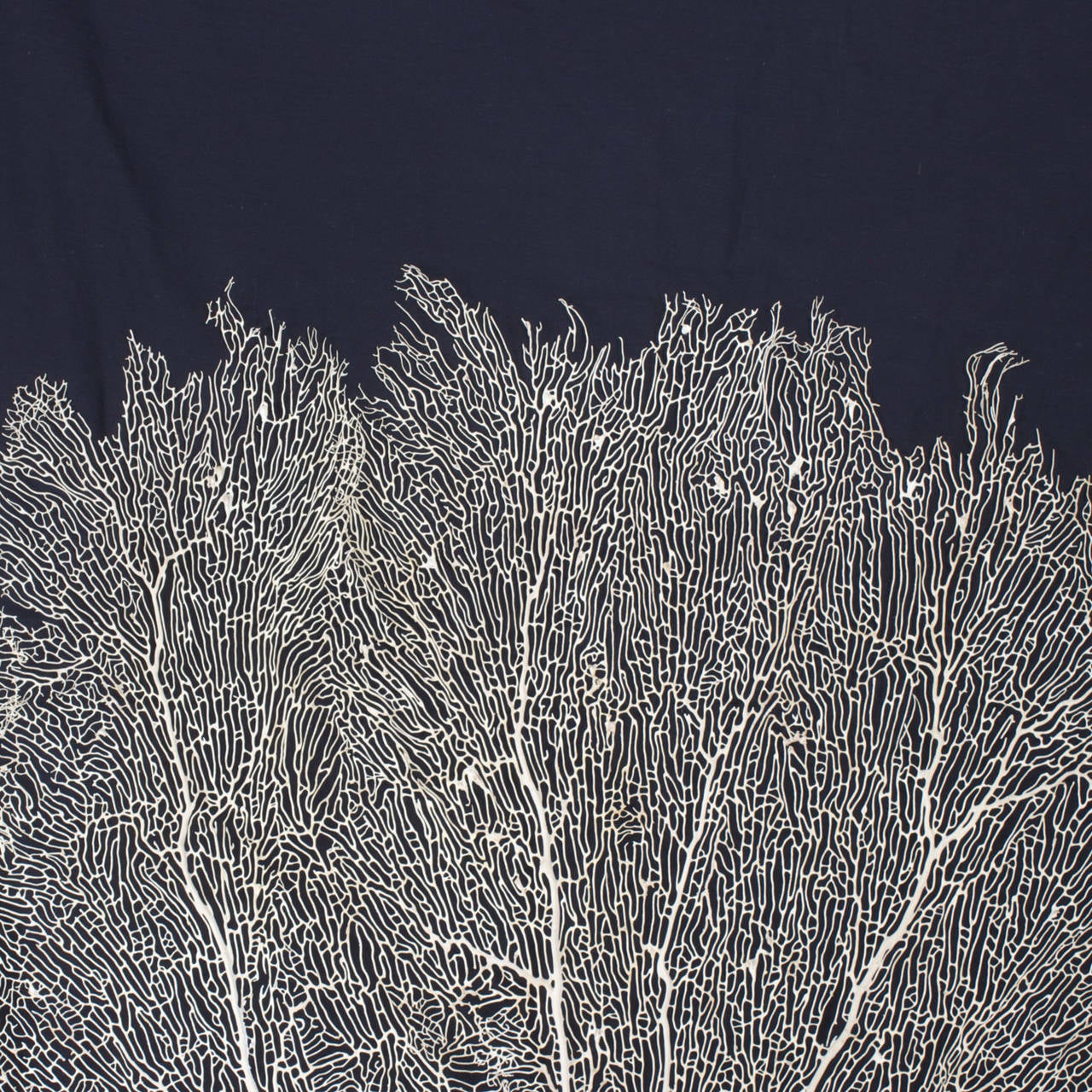 Large cream or white sea fan with a complicated arterial structure and bold form. One of mother natures great works of art. We have other similar sea fans available, if you would like a pair.
Sea fans look great on wall brackets or shelves or