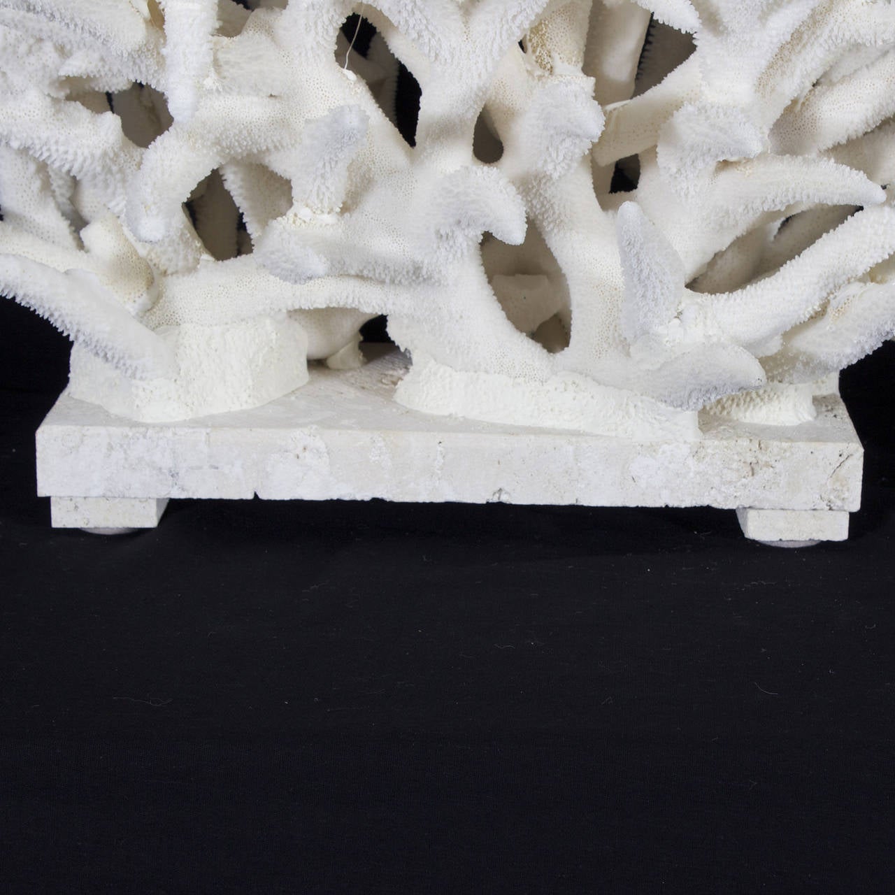 White Staghorn Coral Sculpture 2