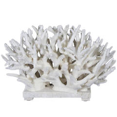 White Staghorn Coral Sculpture