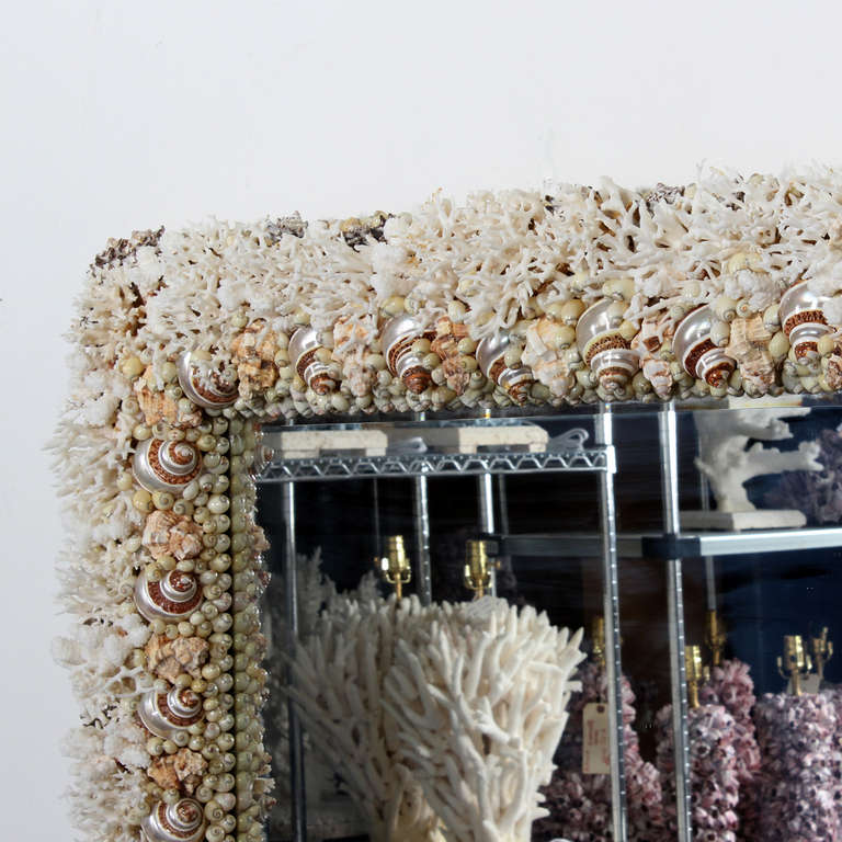 Organic Modern Coral and Seashell Mirror
