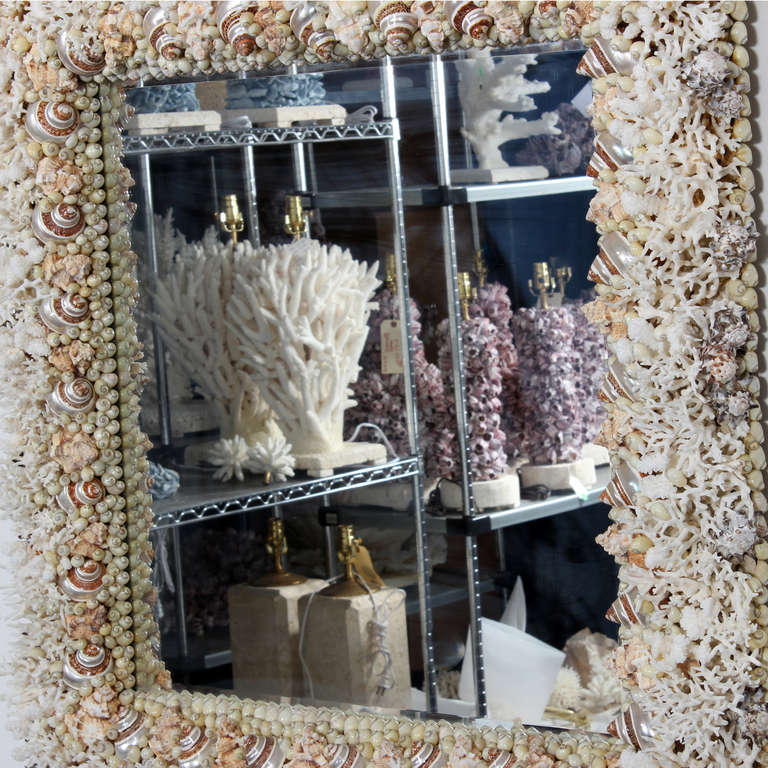 American Coral and Seashell Mirror