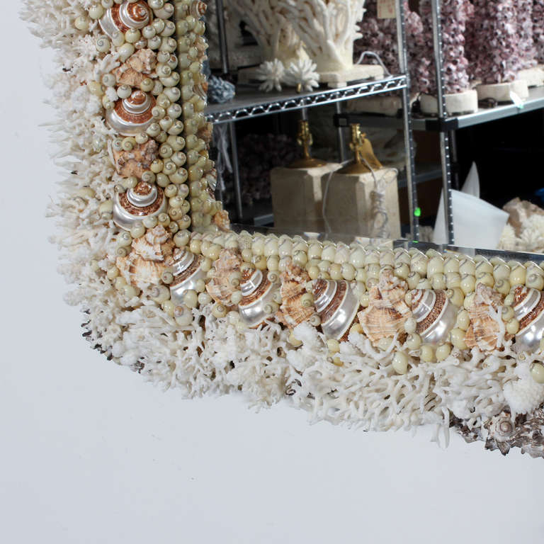Contemporary Coral and Seashell Mirror