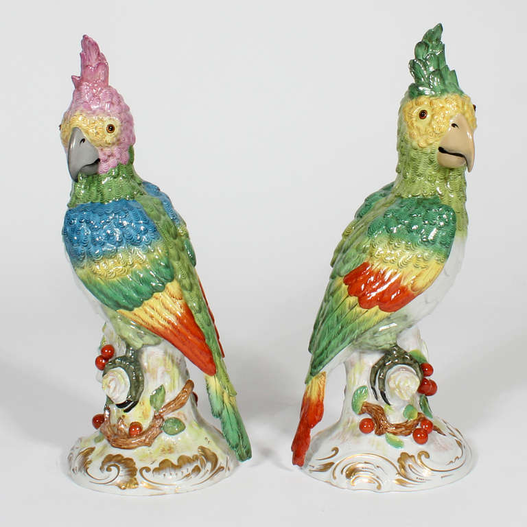 German A Pair of Large and Decorative Porcelain Parrots