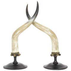 Mid-Century Pair of Large and Dramatic Polished Horns on Mounts 5