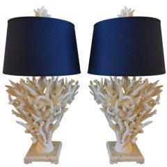 A Pair of Staghorn Coral Lamps