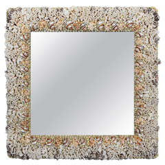 Rare Coral and Turbo Sea Shell Mirror 2