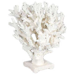 Sculptural Large White Coral Centerpiece