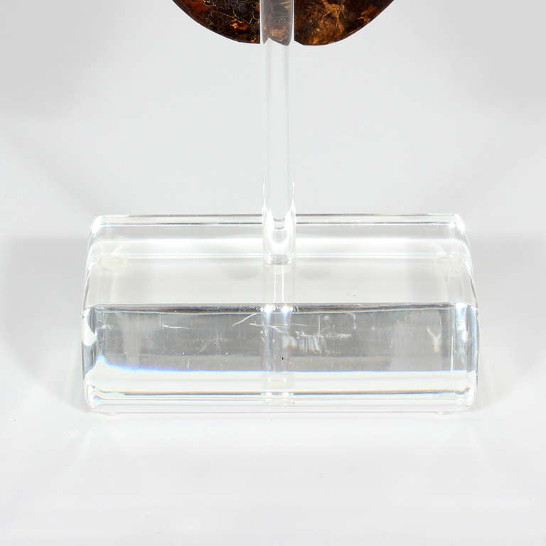 20th Century Faux Turtle Shell Mounted on a Lucite Stand