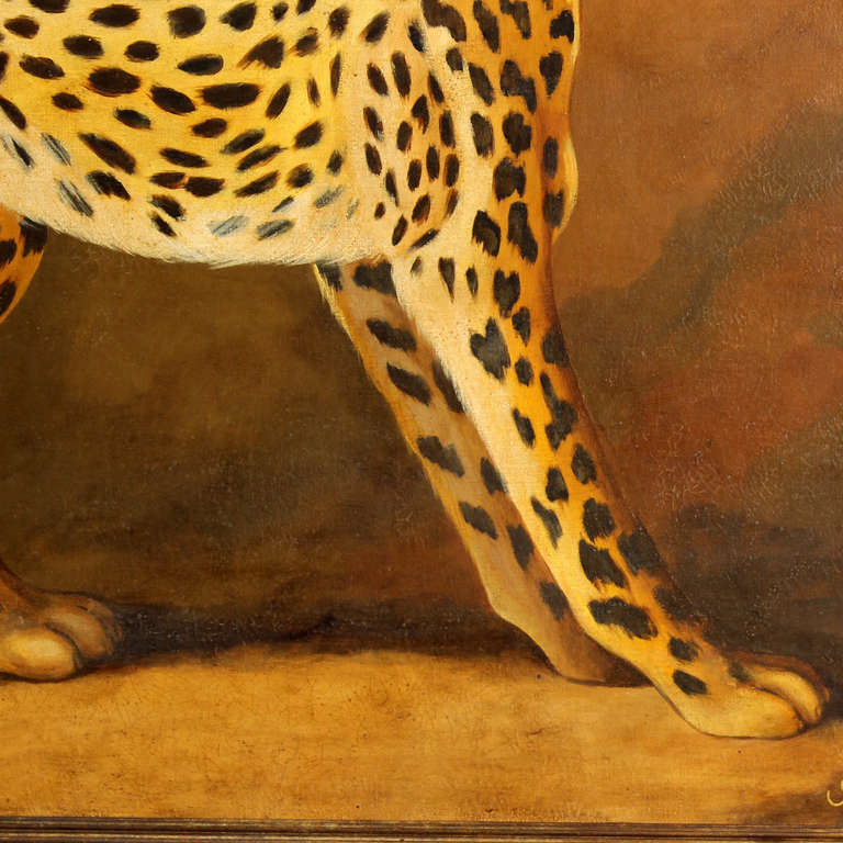 cheetah oil pattern 2023