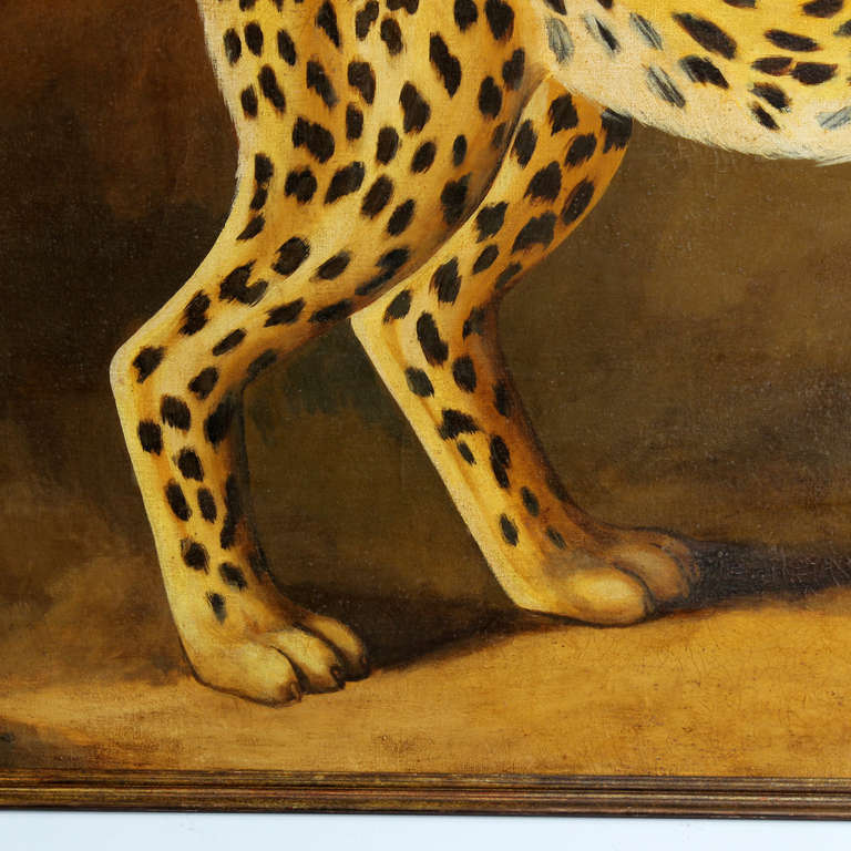 cheetah oil pattern bowling