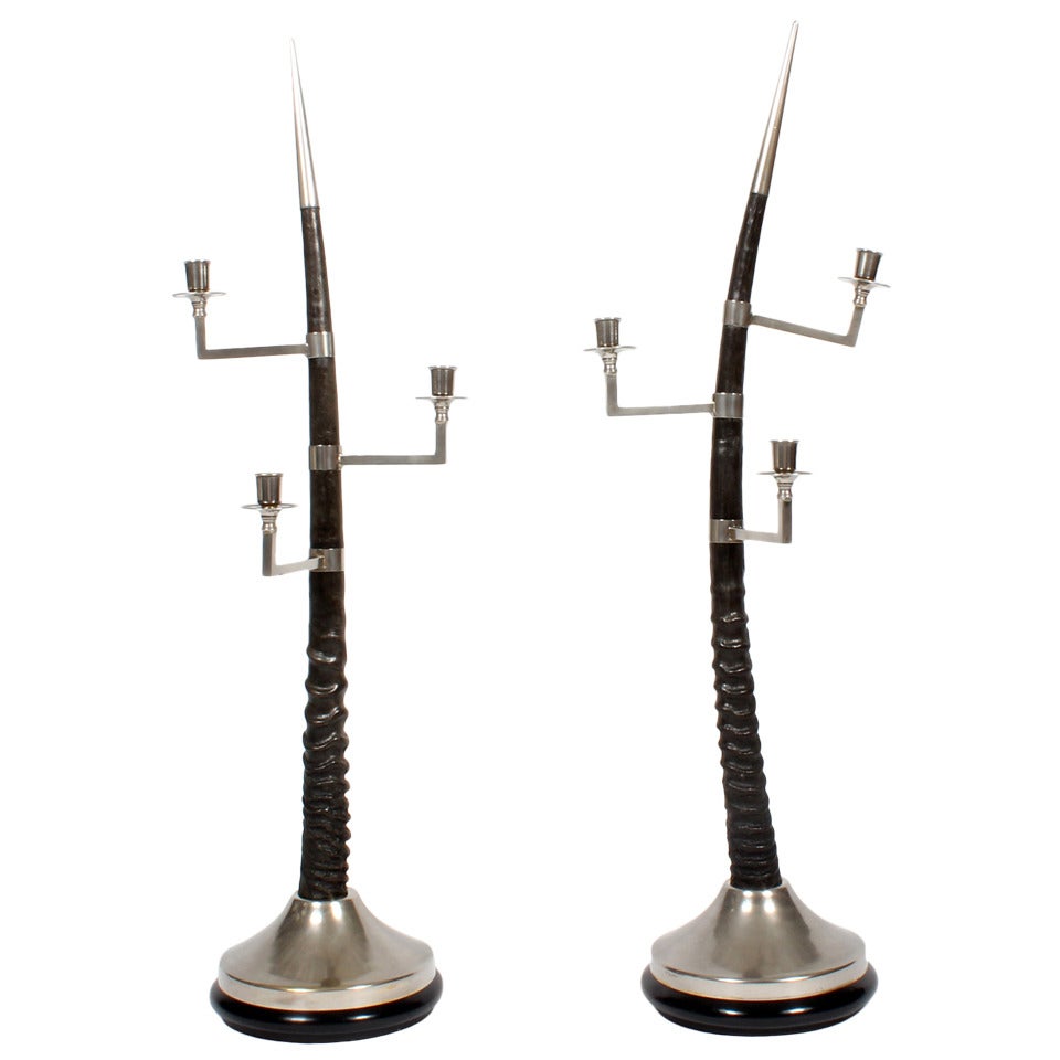 Pair of Large Oryx Horn Three-Arm Candelabra For Sale