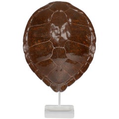 Vintage Faux Turtle Shell Mounted on a Lucite Stand