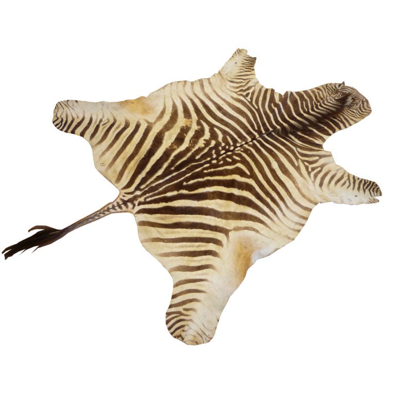 Zebra Rug