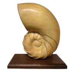Large Carved Nautilus Shell