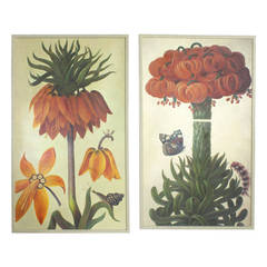 Two Oil on Canvas Very Decorative Botanical Paintings, Priced Individually