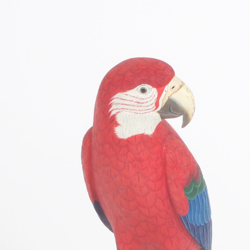 parrot carving