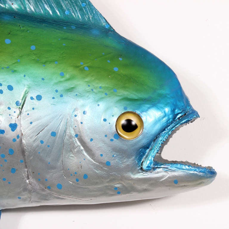 Organic Modern Large Skin Mount Maui Maui or Dolphin Fish