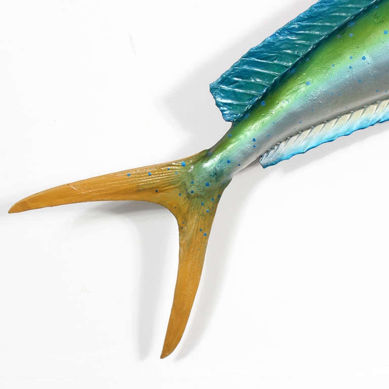 Large Skin Mount Maui Maui or Dolphin Fish In Excellent Condition In Palm Beach, FL