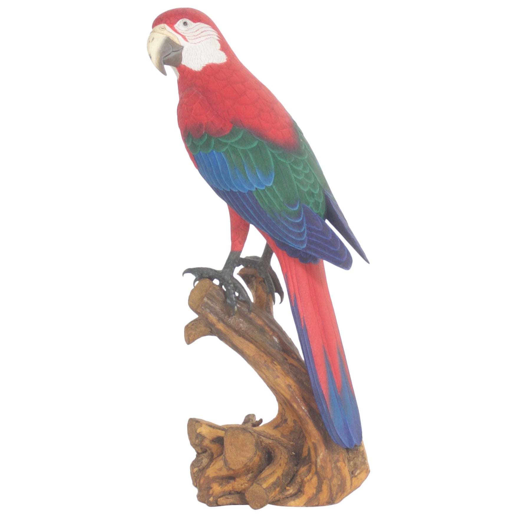 Carved and Painted Red Parrot