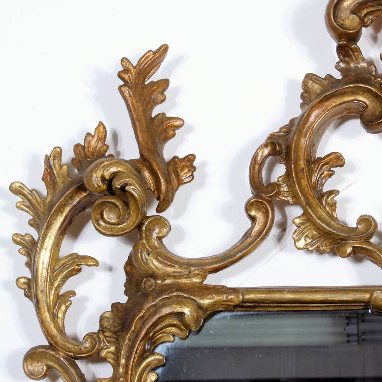 Rare Pair of Late 18th- Early 19th Century Carved Gilt Georgian Mirrors 1