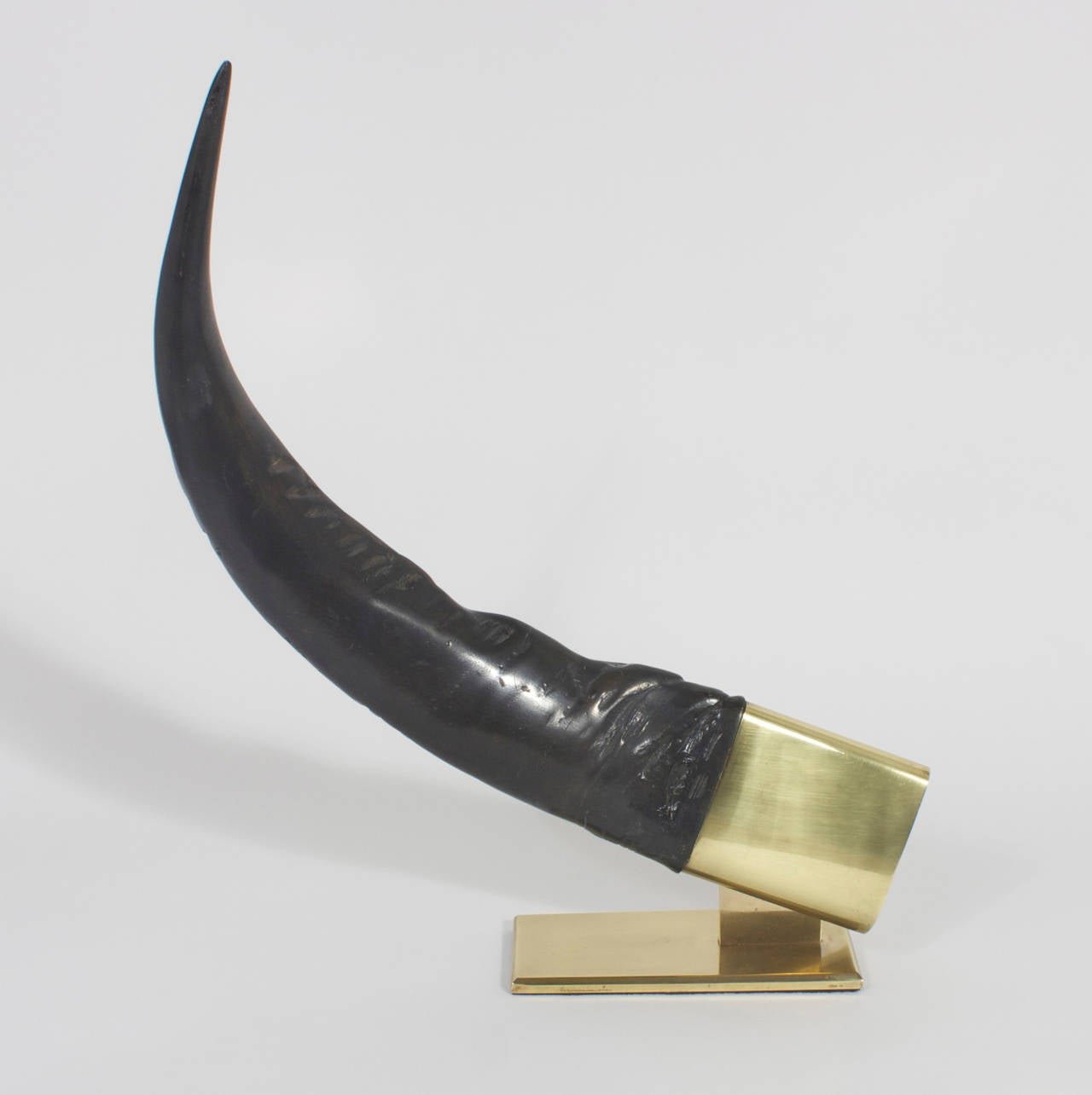 Organic Modern Pair of Huge Brass-Mounted Water Buffalo Horns Bookends