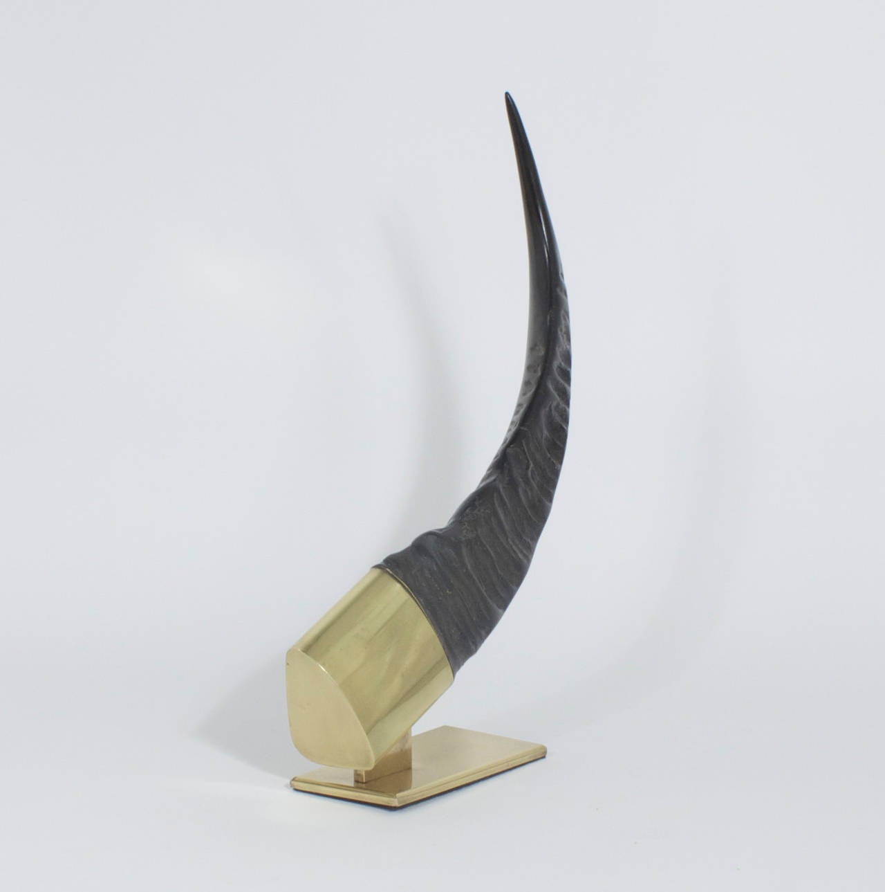 American Pair of Huge Brass-Mounted Water Buffalo Horns Bookends