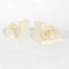 Pair of Nautilus Lucite Bookends