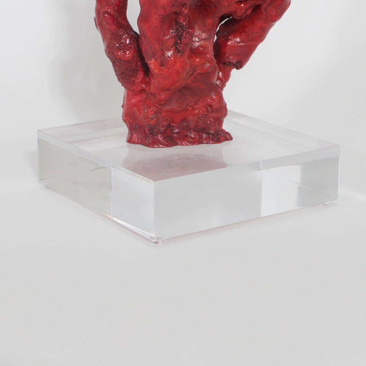 Chinese Tall Impressive Red Bamboo Coral on Lucite