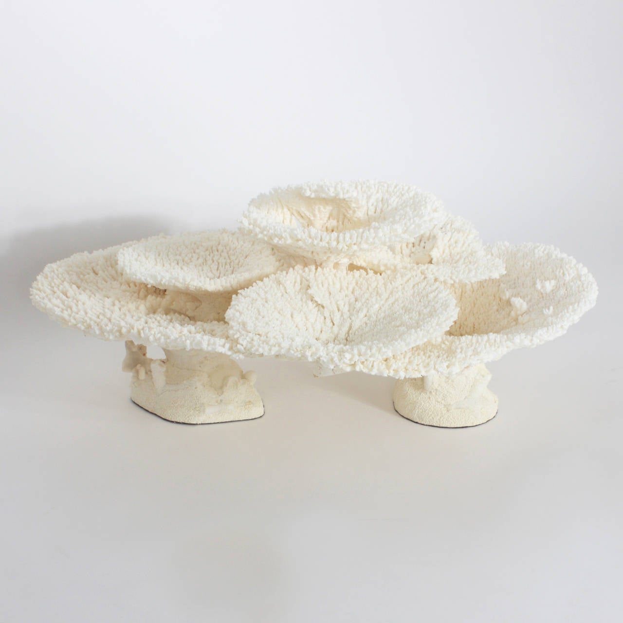 Large Table Coral Sculpture
