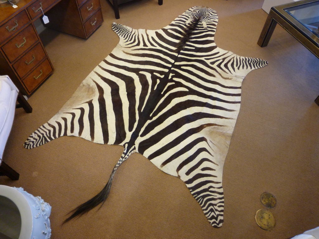 A Well Marked Dark Brown Zebra Rug