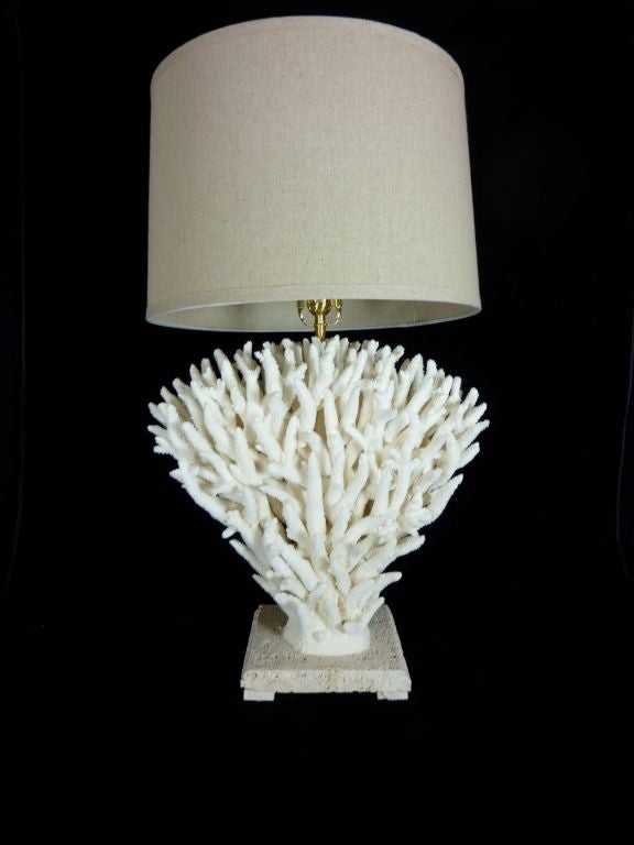 A Pair of White Staghorn Coral Lamps at 1stDibs
