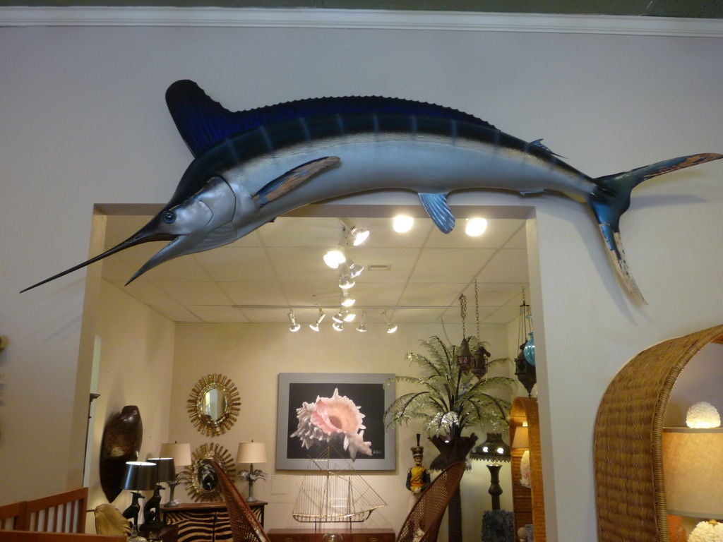 A white marlin full body skin mount taxidermy fish. Some paint wear on the fins. Great size and form.<br />
<br />
Please check out our website at fshenemaderantiques.com