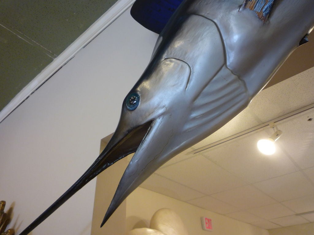 Late 20th Century White Marlin Full Body Skin Mount Taxidermy