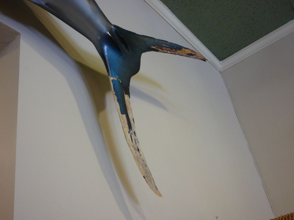 White Marlin Full Body Skin Mount Taxidermy 3