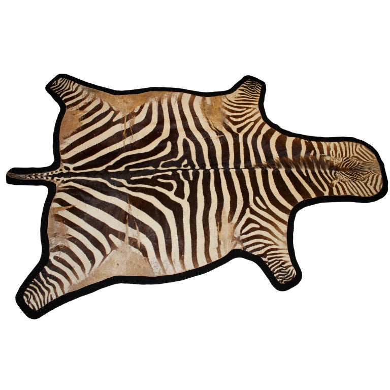 Large Zebra Rug at 1stdibs