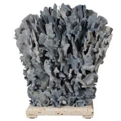 Natural and Real Blue Coral Centerpiece or Sculpture