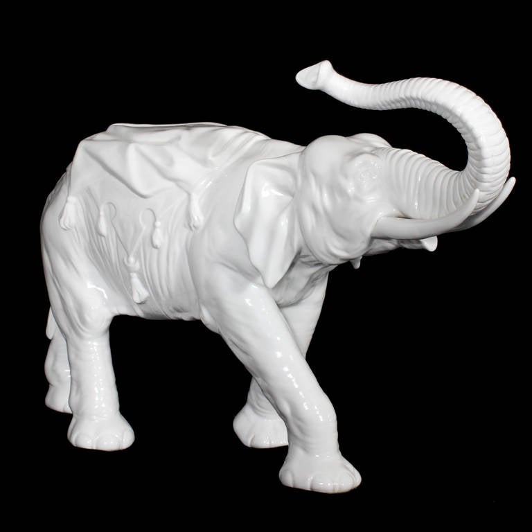 A rare and fine white blanc de chine porcelain elephant, in the Dresdan manner, signed by the unknown maker.  Unexpected large scale and crisp details, trunk is up for good luck. Who can ignore this white elephant in the room?