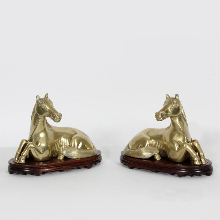 An intriguing pair of polished bronze Asian male and female horse sculptures on custom wood stands. Long a symbol of mindful willpower, this pair inspires tranquillity and strength.

  