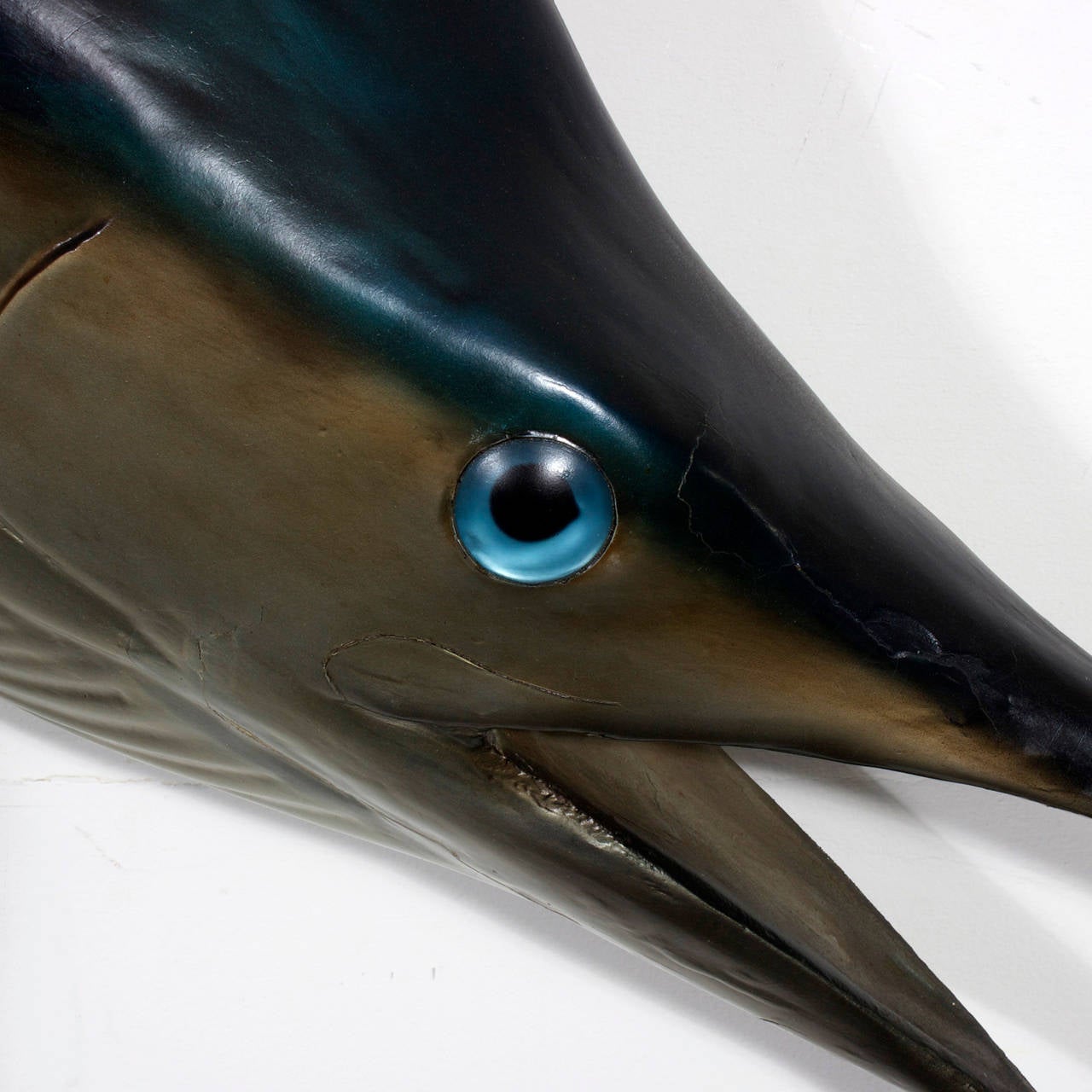 marlin taxidermy