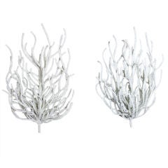 Pair of Custom Wrought Iron Coral Wall Sconces.