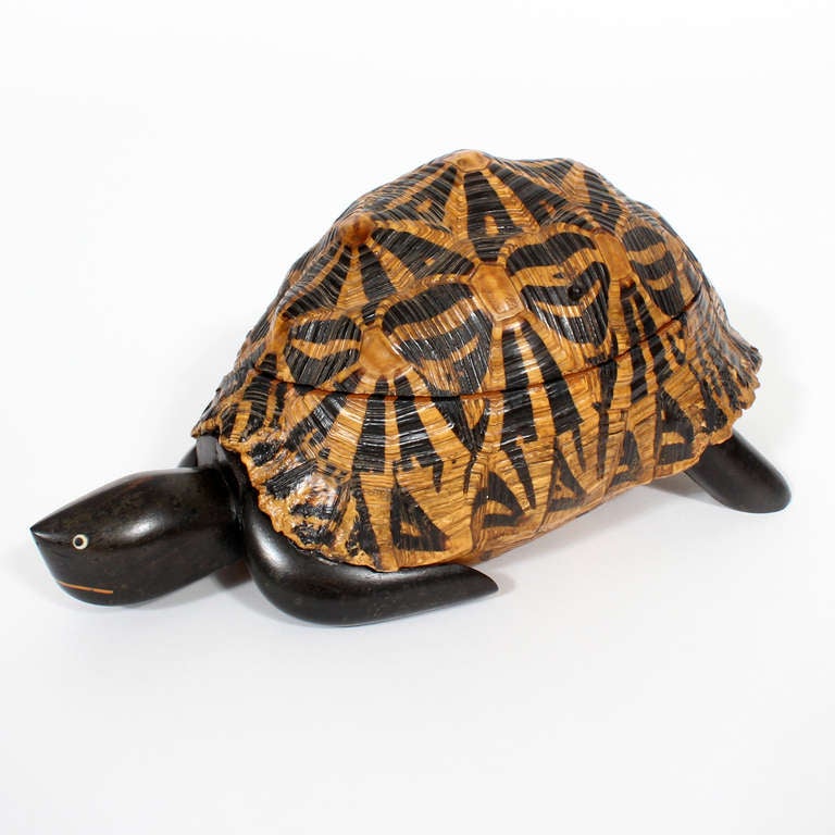 Early 20th Century Indian Star Tortoise Box In Excellent Condition In Palm Beach, FL
