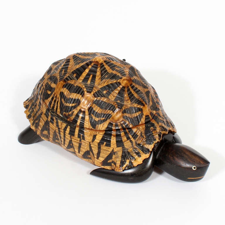 An Anglo Indian, early 20th C. Indian Star Tortoise carapace or shell, converted to a box. The lid inlaid, with ebony and mahogany, in a star form, the box interior, with a mahogany lid, and more inlay.
Ebonized wood head and legs.