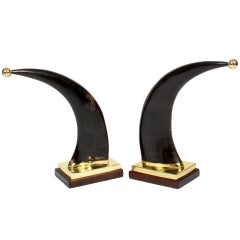 Pair of Brass Tipped Lucite Horns