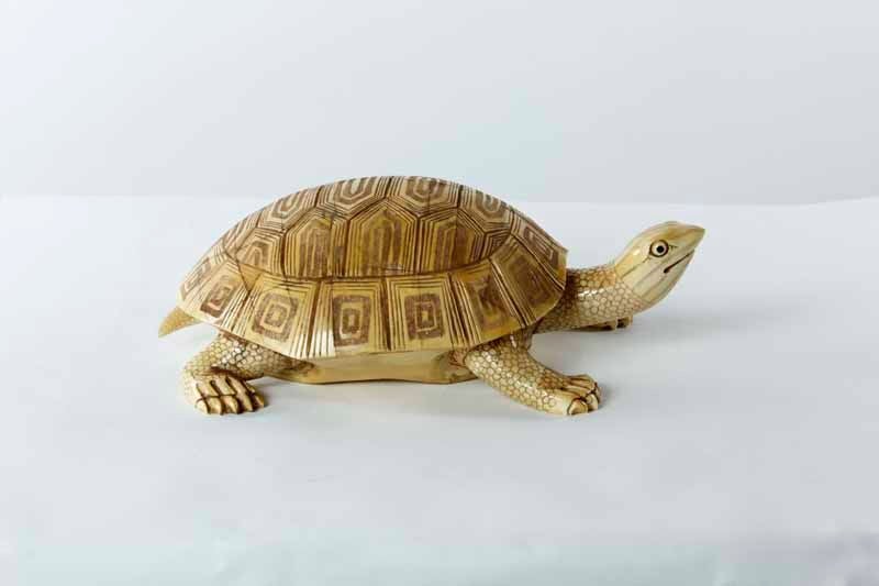 A well detailed and charming hand-carved bone turtle, guaranteed to beat the hare in any race. 

