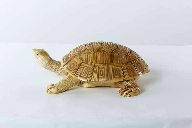 Chinoiserie Carved Bone Turtle