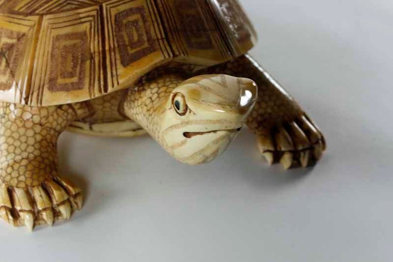 Chinese Carved Bone Turtle