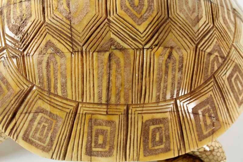 20th Century Carved Bone Turtle