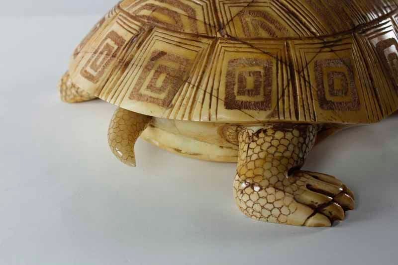 Carved Bone Turtle 1